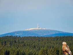 Doppelhaushaelfte in Hasselfelde