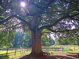 Geraumige Villa Solitude in Wendorf im Bernstein Resort