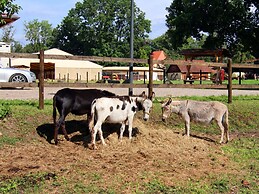 Geraumige Villa Solitude in Wendorf im Bernstein Resort
