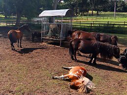 Geraumige Villa Solitude in Wendorf im Bernstein Resort