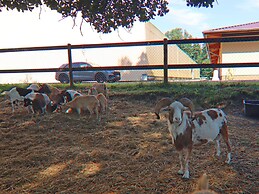 Geraumige Villa Solitude in Wendorf im Bernstein Resort