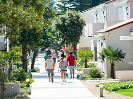 Apartment in Zaton With Swimming Pool