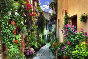 Acquamarine Apartment City Center