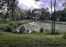 Peyrusse Peace: Pool & Charm