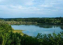 Peyrusse Peace: Pool & Charm