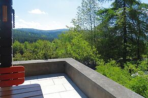 Holiday Home Schneider, Rinchnach