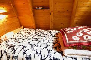 Beautiful Holiday Home in Bielawki With Garden