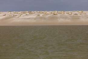 Ferienwohnung im Reetdachhaus auf der Pellworm