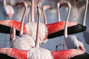 Holiday Cottage With Private Terrace, Bellegarde