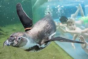 Apartment SL Lounge, Luebben