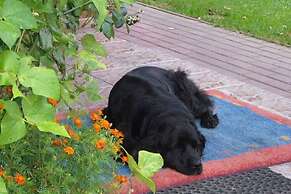 Holiday Home, Oasis of Peace, Polanow