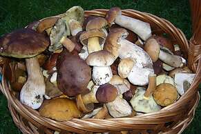 Holiday Home, Oasis of Peace, Polanow