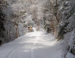 Doppelhaushaelfte in Hasselfelde