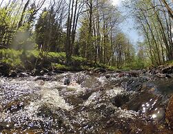 Doppelhaushaelfte in Hasselfelde