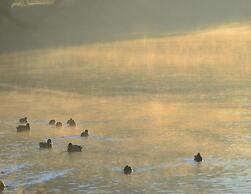 Doppelhaushaelfte in Hasselfelde