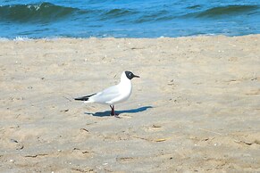 Residenz Seestern in Boltenhagen