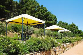 Agriturismo Cima Alla Serra, Pisa