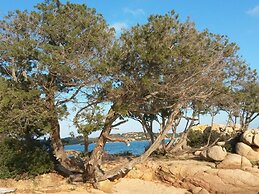 Apartment in Cannigione