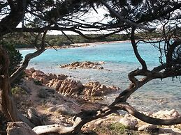 Apartment in Cannigione