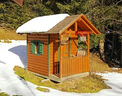 Dog-friendly Holiday Home in Flachau