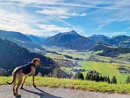 Vacation Home in Flachau