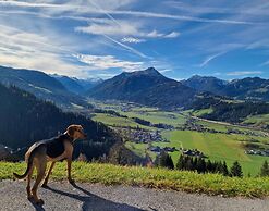 Dog-friendly Holiday Home in Flachau