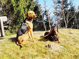 Vacation Home in Flachau