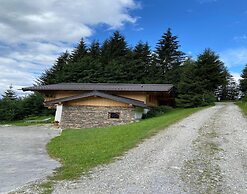 Dog-friendly Holiday Home in Flachau