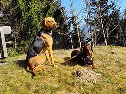 Dog-friendly Holiday Home in Flachau