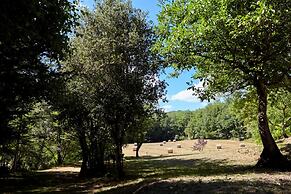 Le Gîte étoilé