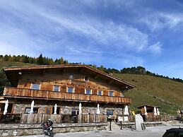Unique Alpine Pasture in the Zillertal Mountains