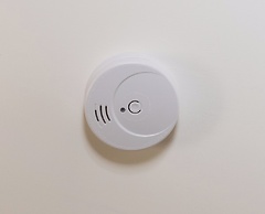 Cardinal Vatican INN