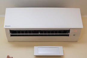 Cardinal Vatican INN