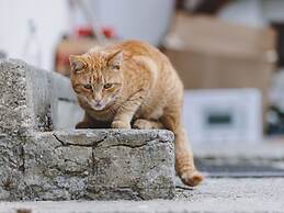 Holiday Home, Fusch an der Glocknerstrasse