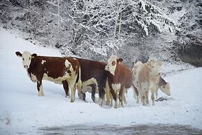 Holiday Flat Wurm, Fugen