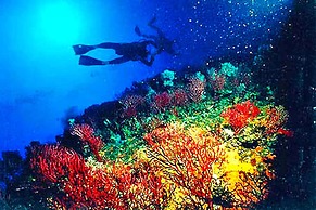 Residence Cormoran, Loc. Campus Villasimius