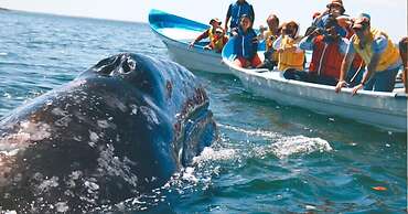 Green Heaven Safari Resort Udawalawa