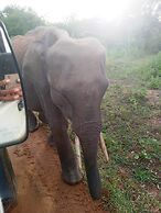 Green Heaven Safari Resort Udawalawa