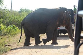 Green Heaven Safari Resort Udawalawa