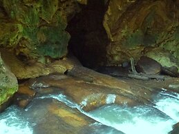 Green Heaven Safari Resort Udawalawa