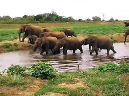 Green Heaven Safari Resort Udawalawa