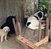 Maravilhoso Hotel - MaHô