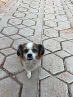 Maravilhoso Hotel - MaHô