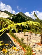 Hmong Hillside House