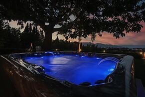 Villa Wild Willow in Potamos