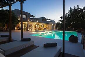 Villa Wild Willow in Potamos