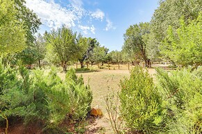 Scenic Payson Cabin w/ Wraparound Patio