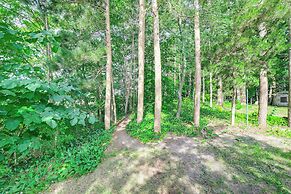 Private Island: Home in Belding w/ Dock & Grill!
