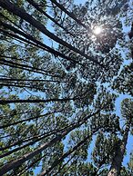 Moçamba LODGE Contêiner