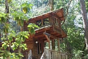 Out 'N' About Treehouse Treesort